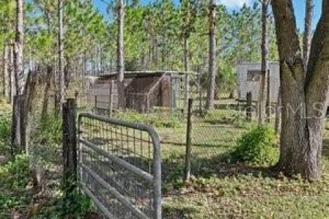 Land in Fish Hawk, Florida № 1908612 - photo 7