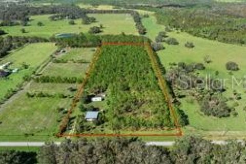 Land in Fish Hawk, Florida № 1908612 - photo 4