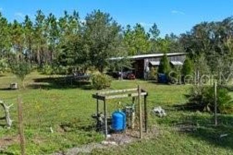 Land in Fish Hawk, Florida № 1908612 - photo 5