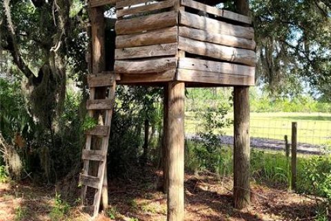 Land in Fish Hawk, Florida № 1908612 - photo 14