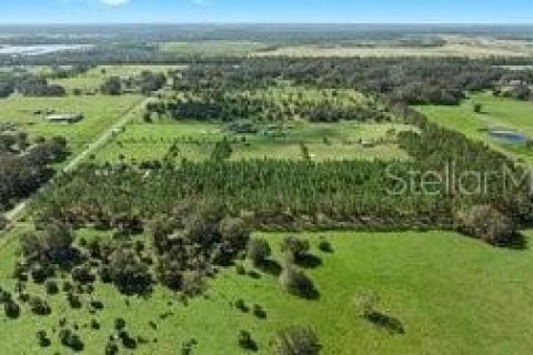 Land in Fish Hawk, Florida № 1908612 - photo 11