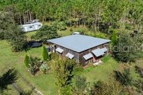 Land in Fish Hawk, Florida № 1908612 - photo 1