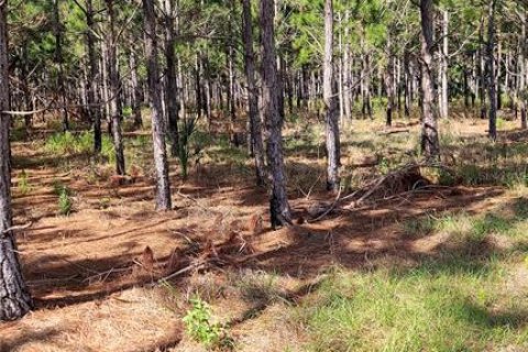 Land in Fish Hawk, Florida № 1908612 - photo 15
