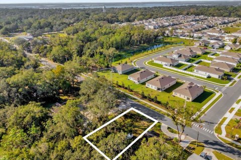 Villa ou maison à vendre à Mount Dora, Floride: 3 chambres, 97.27 m2 № 1513956 - photo 4