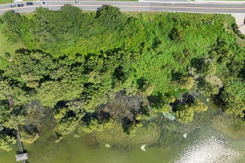 Land in Winter Haven, Florida № 1909078 - photo 16