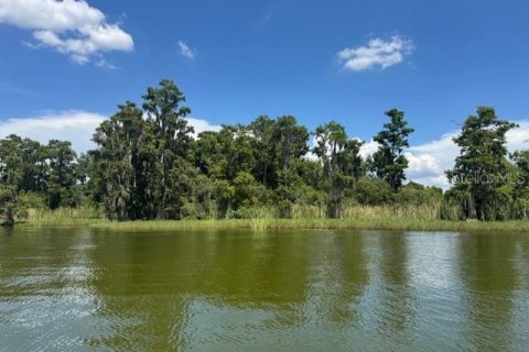 Land in Winter Haven, Florida № 1909078 - photo 27