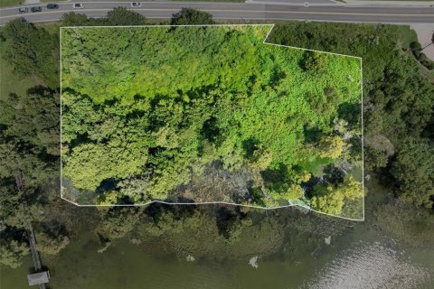 Land in Winter Haven, Florida № 1909078 - photo 2