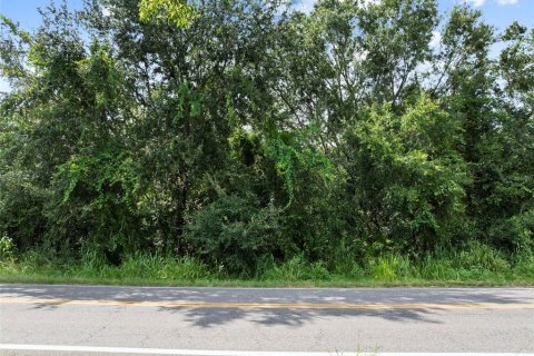 Land in Winter Haven, Florida № 1909078 - photo 22