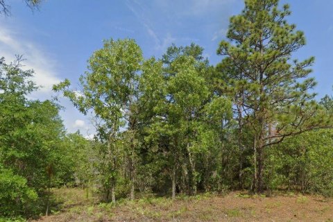Land in Citrus Springs, Florida № 2162945 - photo 3