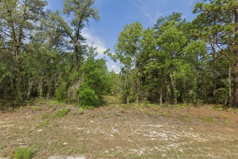 Land in Citrus Springs, Florida № 2162945