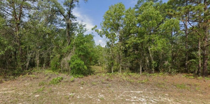 Land in Citrus Springs, Florida № 2162945