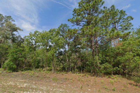 Land in Citrus Springs, Florida № 2162945 - photo 2