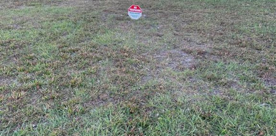Land in Kissimmee, Florida № 1736421