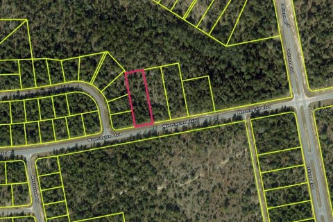 Land in Chipley, Florida № 2364134