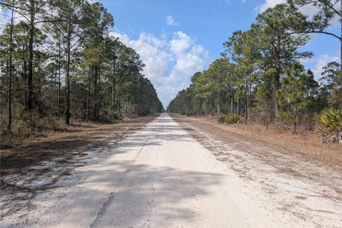 Land in Indian lake estates, Florida № 2161911 - photo 2