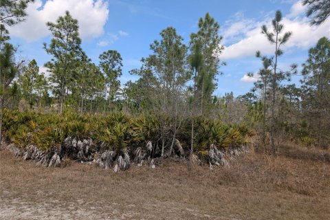 Land in Indian lake estates, Florida № 2161911 - photo 4