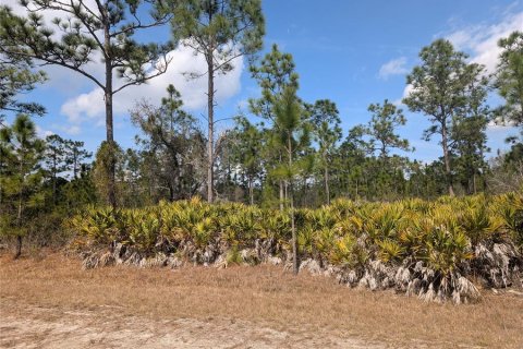 Land in Indian lake estates, Florida № 2161911 - photo 10