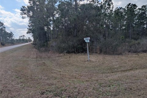 Land in Indian lake estates, Florida № 2161911