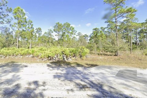 Land in Indian lake estates, Florida № 2161911 - photo 5