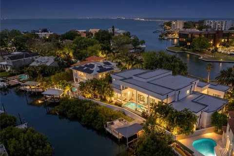 Villa ou maison à vendre à Tampa, Floride: 7 chambres, 843.09 m2 № 2139519 - photo 3