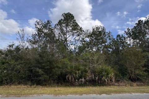 Land in Orlando, Florida № 2105786 - photo 2