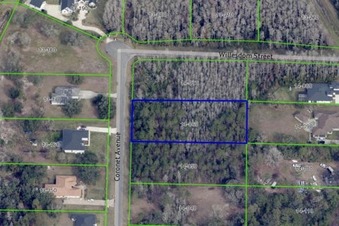 Land in Orlando, Florida № 2105786 - photo 11