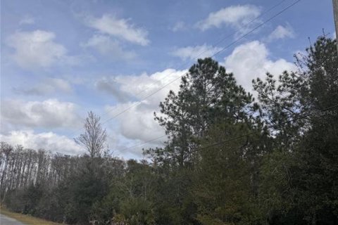 Land in Orlando, Florida № 2105786 - photo 3