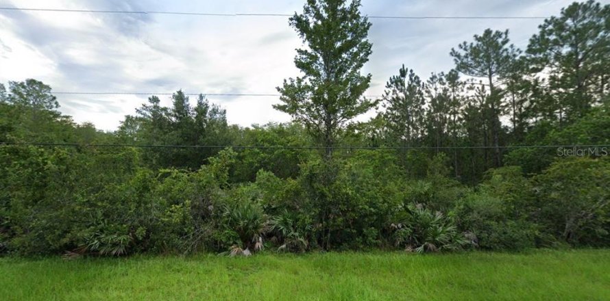 Land in Orlando, Florida № 2105786