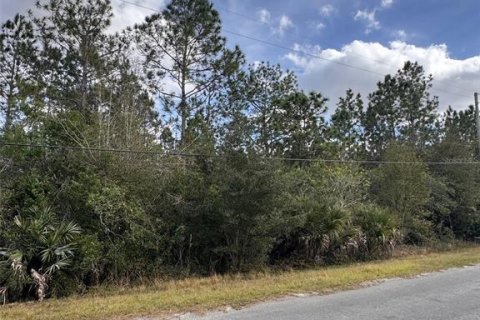 Land in Orlando, Florida № 2105786 - photo 4