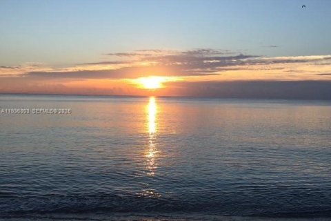 Condominio en alquiler en Hollywood, Florida, 1 dormitorio, 99.41 m2 № 2088444 - foto 11