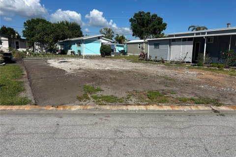 Land in Sarasota, Florida № 1721501 - photo 2