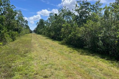Land in Indian lake estates, Florida № 2162938 - photo 6