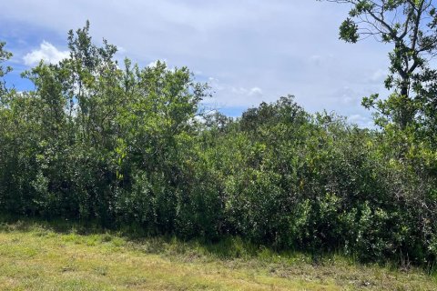 Land in Indian lake estates, Florida № 2162938 - photo 5