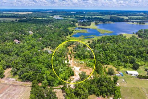 Terreno en venta en Brooksville, Florida № 1724860 - foto 10
