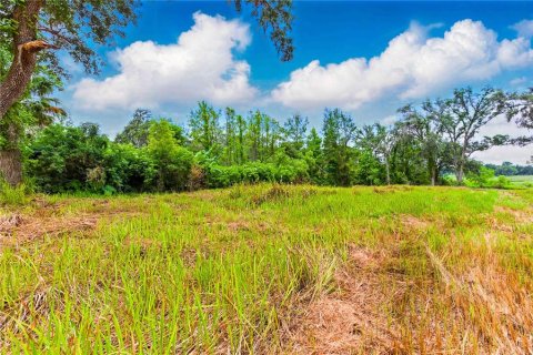 Terreno en venta en Brooksville, Florida № 1724860 - foto 6