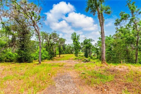 Terreno en venta en Brooksville, Florida № 1724860 - foto 4