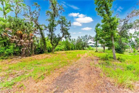 Terreno en venta en Brooksville, Florida № 1724860 - foto 5