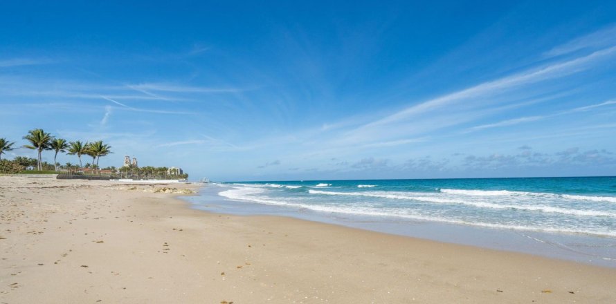 Villa ou maison à Palm Beach, Floride 3 chambres, 221.66 m2 № 703613