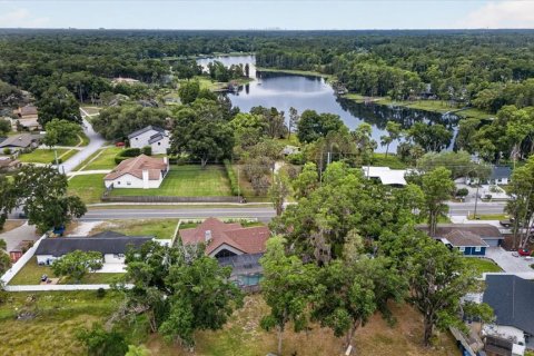 Villa ou maison à vendre à Lutz, Floride: 4 chambres, 271.83 m2 № 2353168 - photo 6
