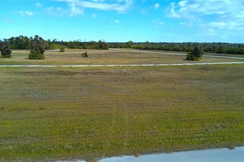 Land in Placida, Florida № 2163047 - photo 5