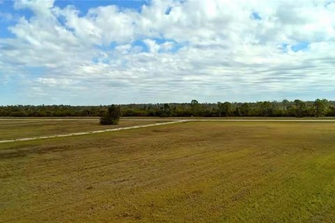 Land in Placida, Florida № 2163047 - photo 4