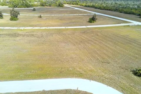 Land in Placida, Florida № 2163047 - photo 2