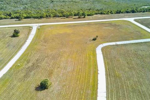 Land in Placida, Florida № 2163047 - photo 3