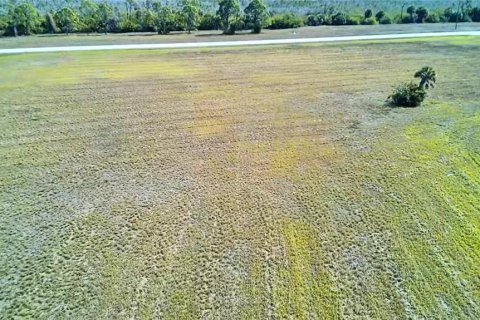 Land in Placida, Florida № 2163047 - photo 7