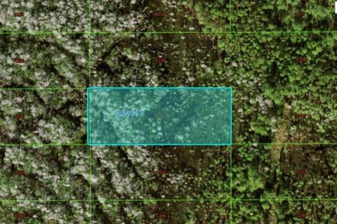 Terreno en Polk City, Florida № 2164017
