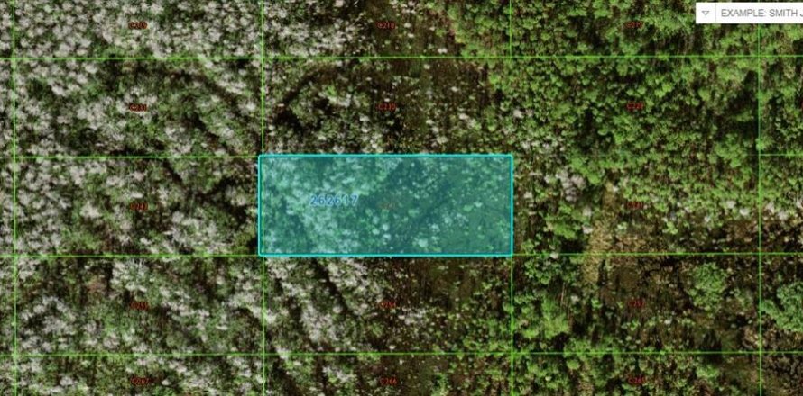 Terrain à Polk City, Floride № 2164017