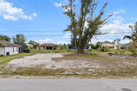 Terreno en venta en Cape Coral, Florida № 1608619 - foto 3