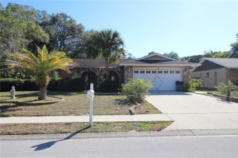 Casa en alquiler en Palm Harbor, Florida, 3 dormitorios, 144.46 m2 № 1919199 - foto 1
