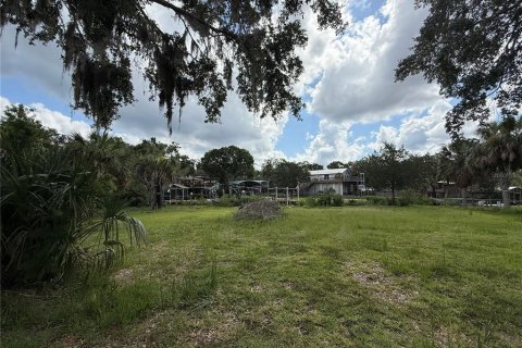 Terrain à vendre à Crystal River, Floride № 1803581 - photo 6