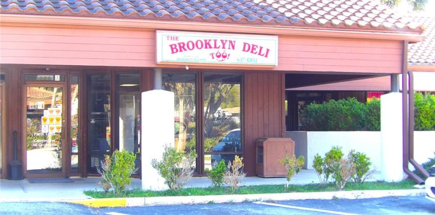 Propiedad comercial en Inverness, Florida 100.71 m2 № 1573027